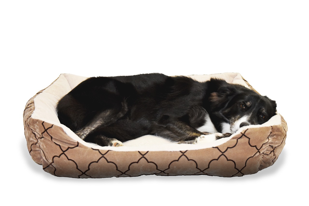 Classic Dog Light & Senior Hundefutter 15 Kg - Leicht Verdaulich Für ältere & übergewichtige Hunde