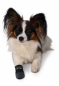 Preview: Trixie Walker Care Pfotenschutz-Stiefel