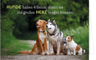 Allgemeine Glückwünschkarte 3